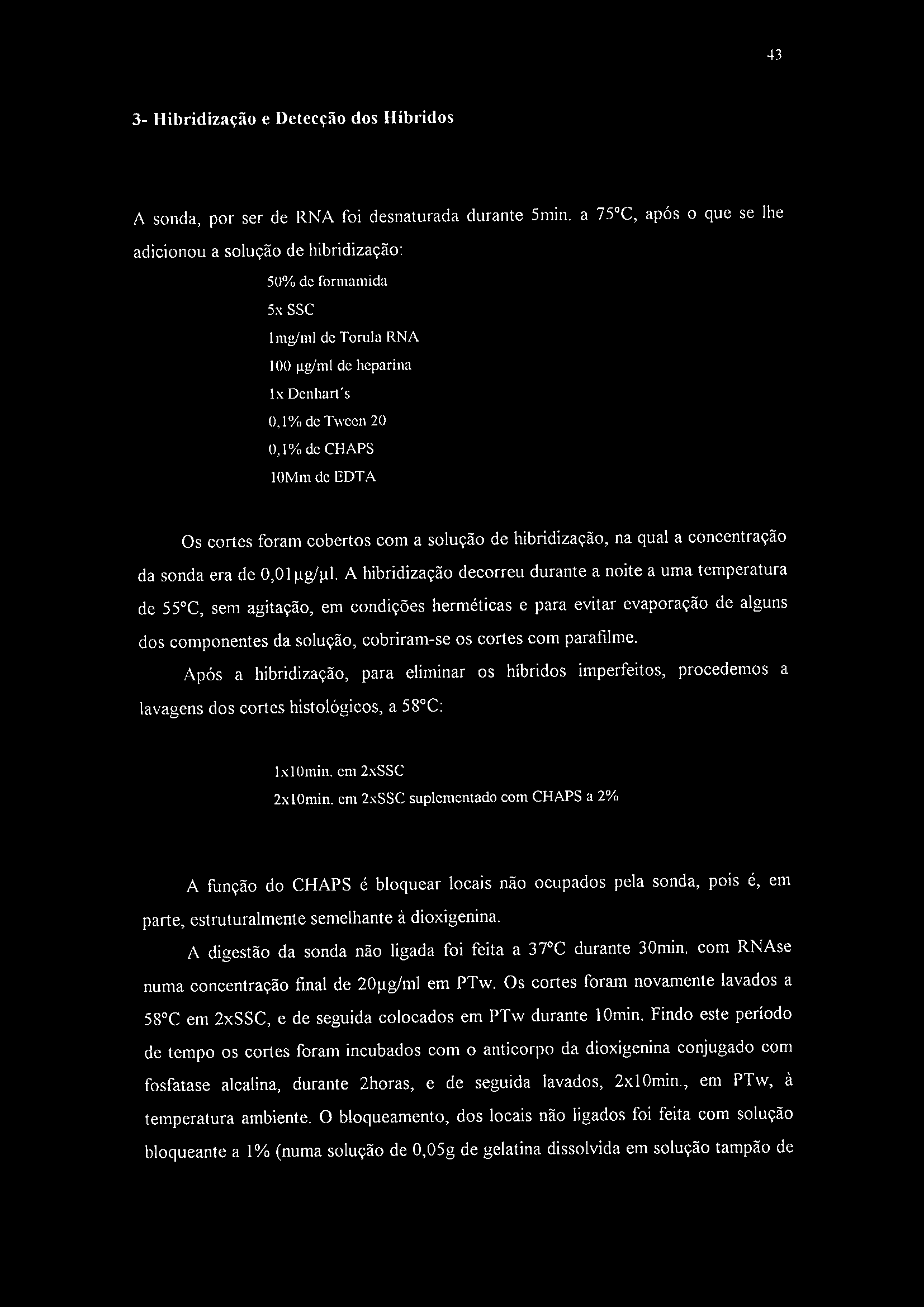 43 3- Hibridização e Detecção dos Híbridos A sonda, por ser de RNA foi desnaturada durante 5min.