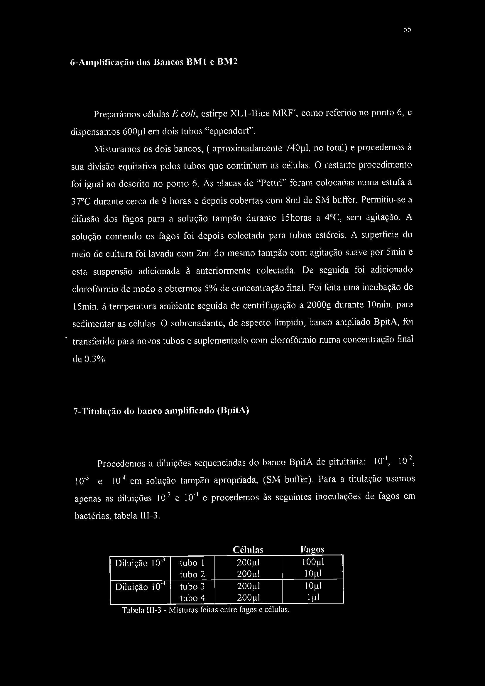 55 6-Aniplificação dos Bancos BIMI e BIV12 Preparámos células E coli, estirpe XLl-Blue MRF', como referido no ponto 6, e dispensamos òoopl em dois tubos "eppendorf.