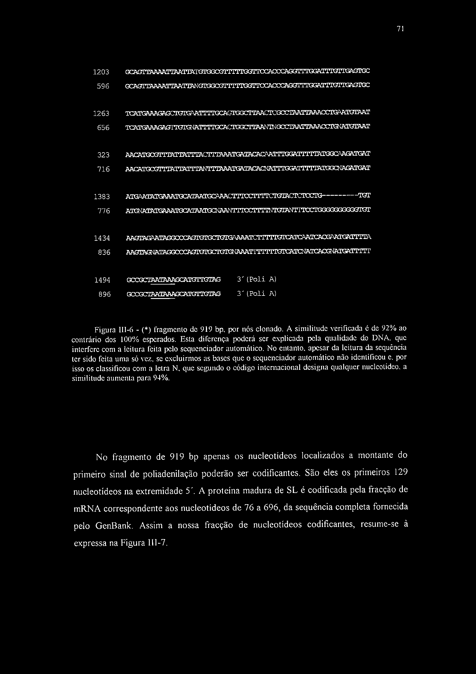 71 1203 GGA 7lTAAAATTAAI*EA' rgtggcgtttnttgfjnxxlacccaggttrggaltll^rigaotgc 596 GCAGTTAAAAri3^A!ITANOTGGCC?ITITrGCTTCCACCC^GOTTrGGAu.