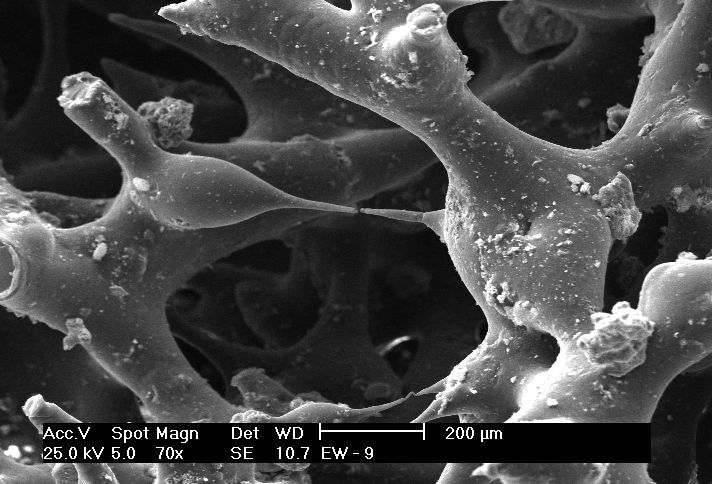 52 EG EW Figura 5-2 Imagem de microscopia eletrônica de varredura das amostras