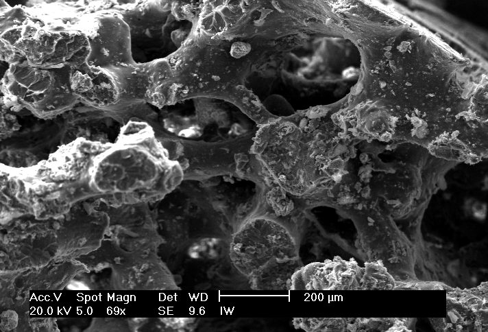 56 IG IW Figura 5-6 Imagem de microscopia eletrônica de varredura das amostras