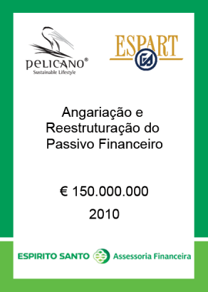 ASSESSORIA FINANCEIRA A MÉDIAS EMPRESAS O Espírito Santo Assessoria Financeira foi criado em 2004 em parceria com a Direcção de Médias Empresas do Banco Espírito Santo, com o objectivo de prestar