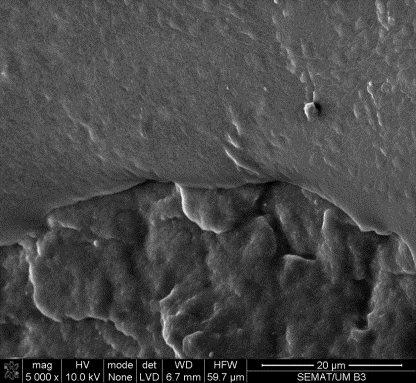 a) b) c) Figura 52: Microscopia da borracha extraída na semana 0 da mistura acondicionada à temperatura ambiente para as taxas de ampliação de a) 400x, b) 1000x e c) 5000x a) b) c) Figura 53: