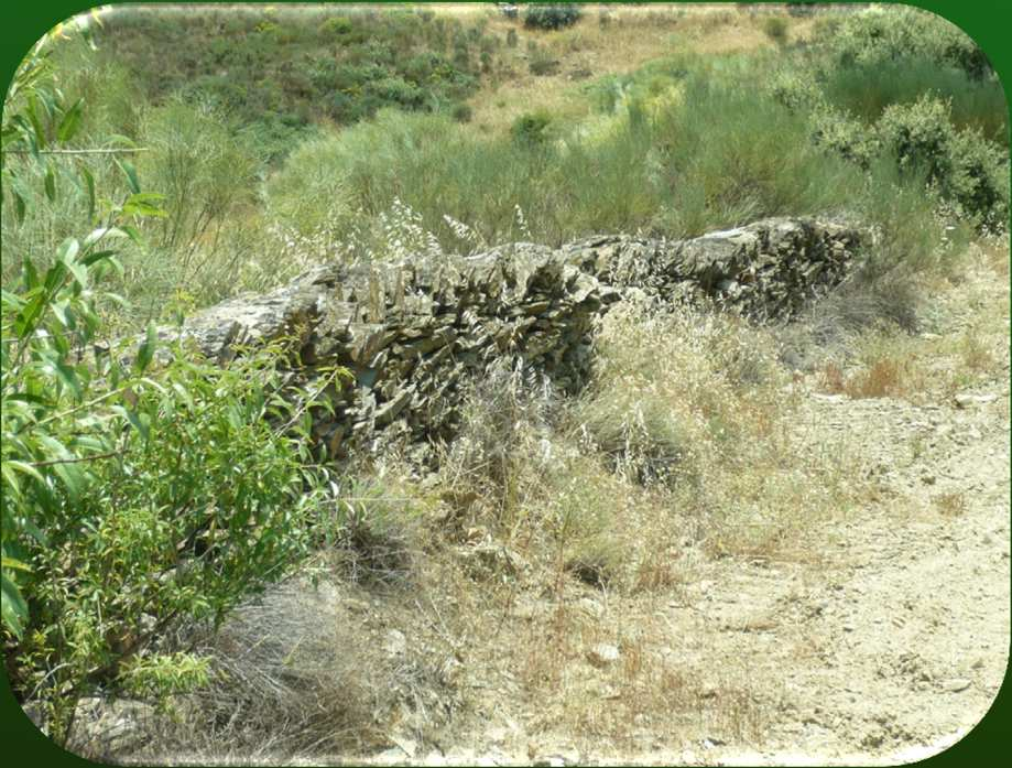 Fatores que influenciam a biodiversidade nas explorações agrícolas Estruturas naturais ou