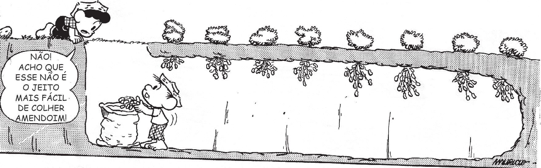C0504 SOUSA, M. Plantando Confusão. Porto Alegre: LP&M, 2010. p. 96. (P043174E4_SUP) 43) (P043174E4) O jeito que o menino colhe amendoim não é o mais fácil porque ele A) colhe escondido do amigo.