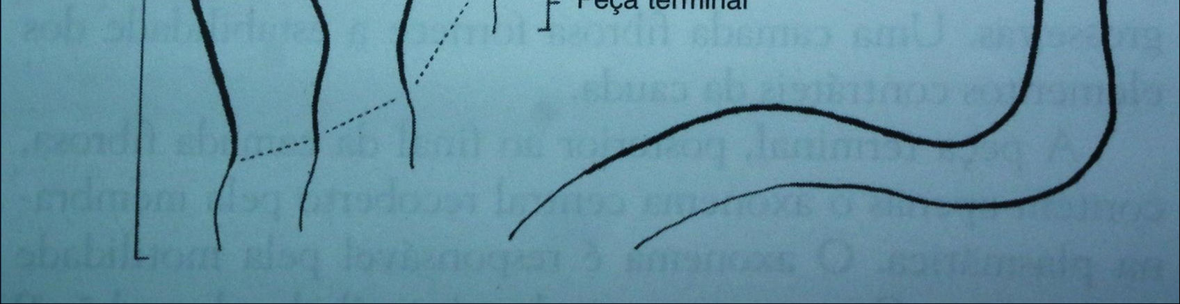 Comparação de