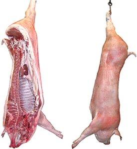 óssea correspondente, procedentes de animais abatidos sob inspeção veterinária.