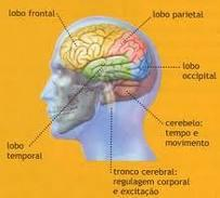 Locais Afetados Assim o lobo frontal está mais ligado às decisões e movimentos, o parietal com os movimentos e a sensibilidade do pescoço para baixo e com parte