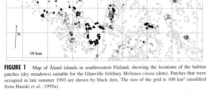 A teoria da metapopulações Um exemplo de metapopulação do tipo Levins: The Glanville fritillary (Melitaea cinxia) metapopulation É uma espécie de boborleta