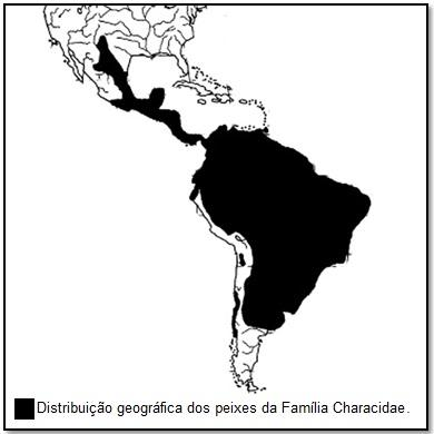 (MIRANDE, 2010; REIS et al., 2003), com ampla distribuição geográfica e predominância na América do Sul (Figura 1).