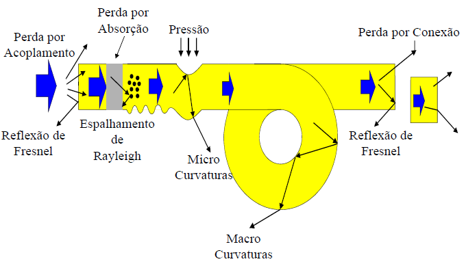 Tipos de