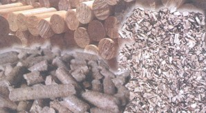1. Biomassa sólida Tem como fonte os produtos e resíduos da agricultura (incluindo substâncias vegetais e