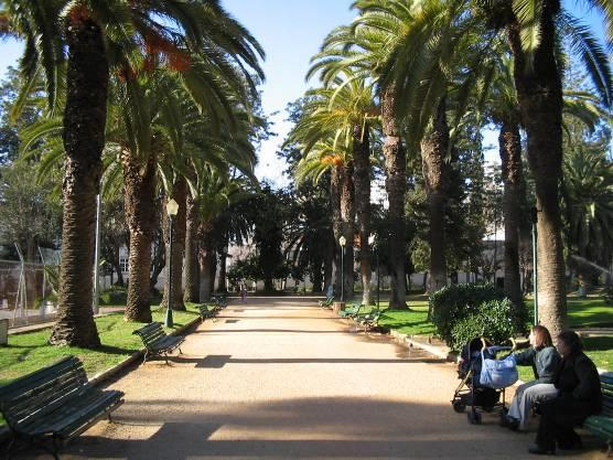 Tendo em conta o enorme potencial ambiental do município de Faro, importa referir que também a estrutura verde municipal se carateriza por uma descontinuidade.