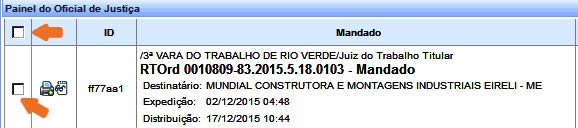 Nos campos Estrutura de documento e Modelo, o modelo poderá ser selecionado. Confeccione, assim, a certidão do resultado da diligência e clique em Gravar, assinar e devolver.