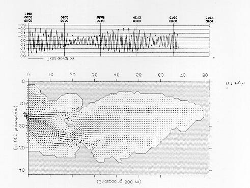 Figura 2 - Campo de Velocidade Ápos a solução das eq. 1 a 3, se determina as concentrações dos poluentes na área em estudo no intervalo de tempo desejado.