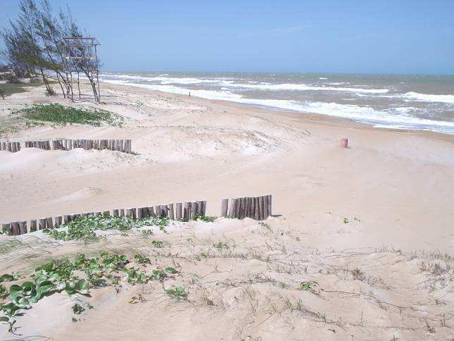 Caracterização da linha de costa do ES Setor 1: Planícies costeiras estreitas limitadas por tabuleiros do Barreiras com contribuição dos Rios