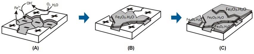 2Fe 2+ + 4OH - 2Fe(OH)2 ou 2FeO. H2O (6) 2Fe(OH)2 + H2O + 1/2O2 2Fe(OH)3 ou Fe2O3.H2O (7) O resultado dessas interações é a formação dos conhecidos produtos finais da corrosão, ou ferrugem.