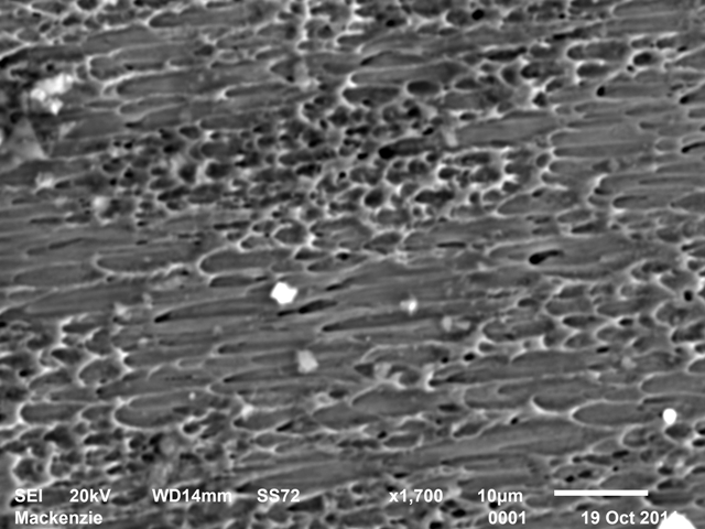92 Fratografia 12: Superfície de fratura, observada microscopia eletrônica de varredura, da região indicada pela seta laranja da Fratografia 8 da mola processada a frio
