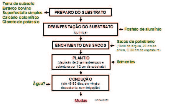 g) Fronteiras do Sistema de Produto: foram abrangidas pelo sistema de produto a produção de mudas e a produção de grãos de pinhão manso, incluindo o beneficiamento pós-colheita.