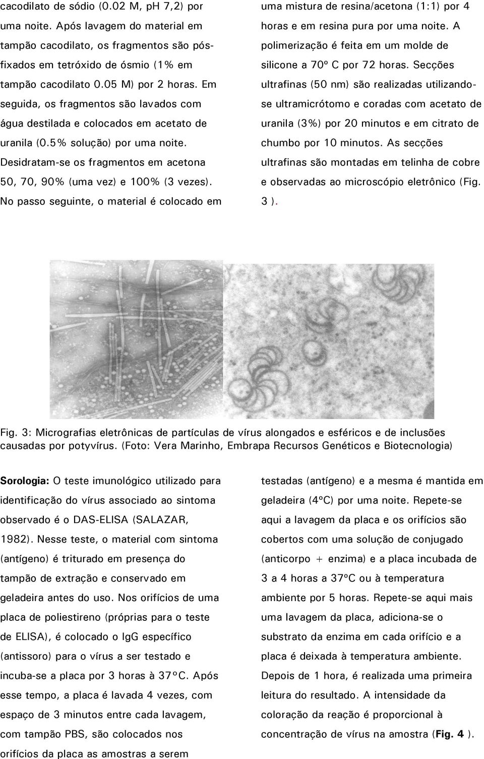 No passo seguinte, o material é colocado em uma mistura de resina/acetona (1:1) por 4 horas e em resina pura por uma noite. A polimerização é feita em um molde de silicone a 70º C por 72 horas.