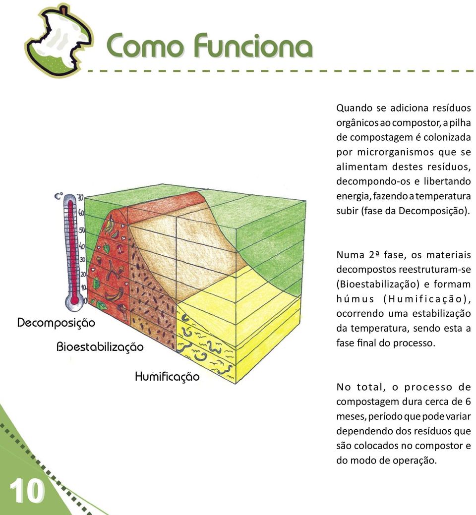 Decomposição Bioestabilização Numa 2ª fase, os materiais decompostos reestruturam-se (Bioestabilização) e formam h ú m u s ( H u m i f i c a ç ã o ),