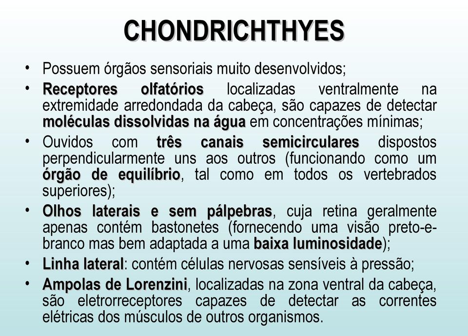 superiores); Olhos laterais e sem pálpebras, cuja retina geralmente apenas contém bastonetes (fornecendo uma visão preto-ebranco mas bem adaptada a uma baixa luminosidade); Linha lateral: contém