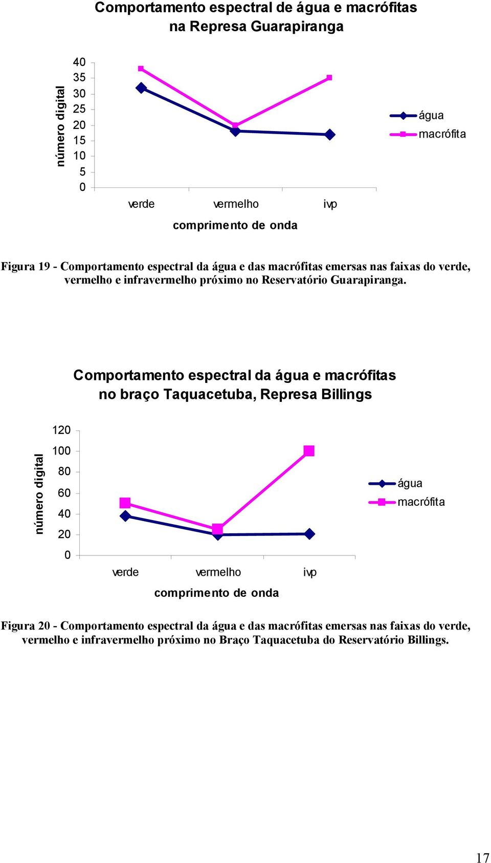 Comportamento espectral da água e macrófitas no braço Taquacetuba, Represa Billings número digital 120 100 80 60 40 20 0 verde vermelho ivp comprimento de onda água