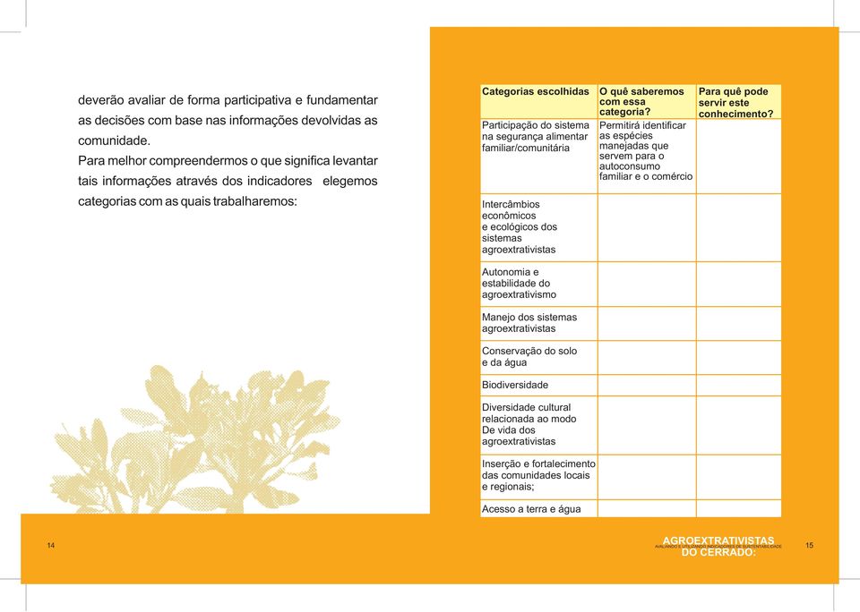 alimentar familiar/comunitária Intercâmbios econômicos e ecológicos dos sistemas agroextrativistas Autonomia e estabilidade do agroextrativismo Manejo dos sistemas agroextrativistas Conservação do