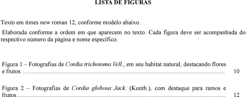 Cada figura deve ser acompanhada do respectivo número da página e nome específico.