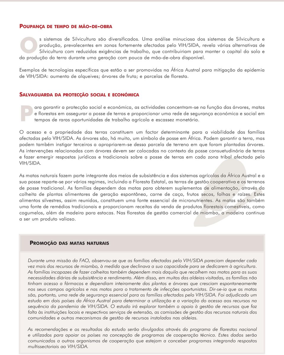 trabalho, que contribuiriam para manter o capital do solo e da produção da terra durante uma geração com pouca de mão-de-obra disponível.