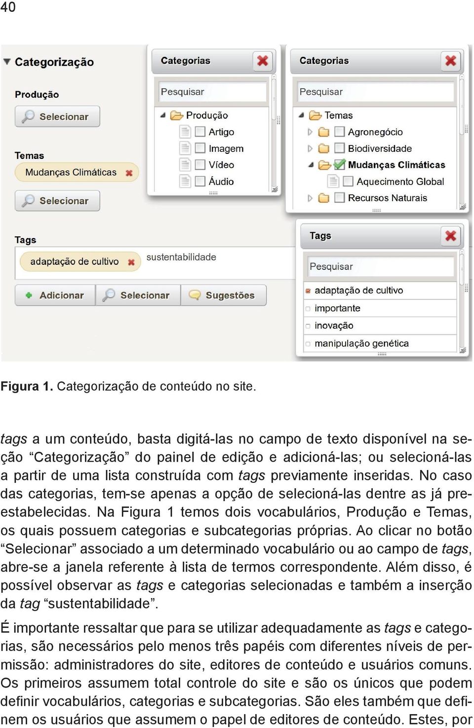 inseridas. No caso das categorias, tem-se apenas a opção de selecioná-las dentre as já preestabelecidas.