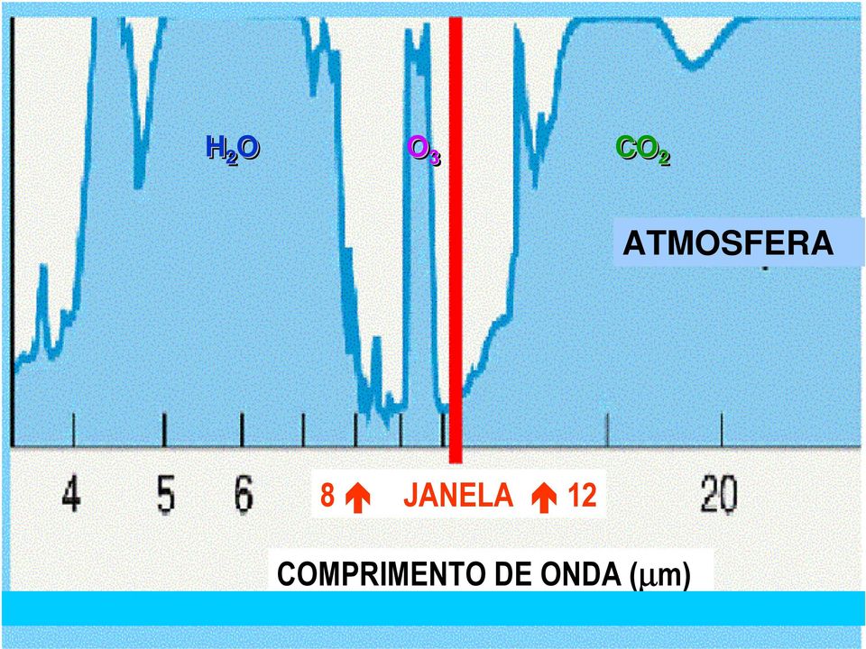 JANELA 12