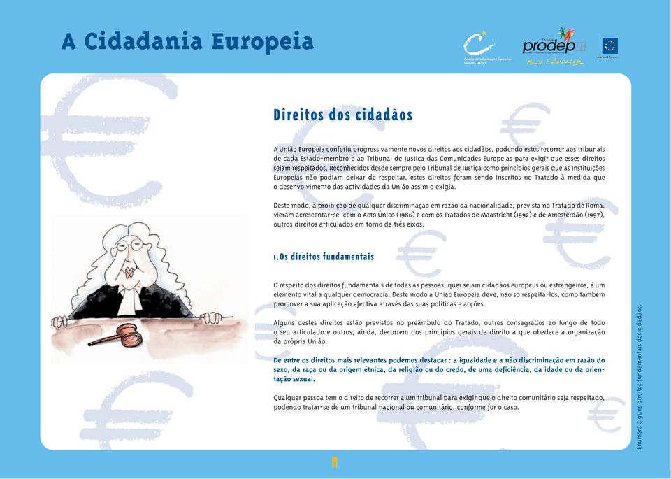 Reconhecidos desde sempre pelo Tribunal de Justiça como princípios gerais que as Instituições Europeias não podiam deixar de respeitar, estes direitos foram sendo inscritos no Tratado à medida que o