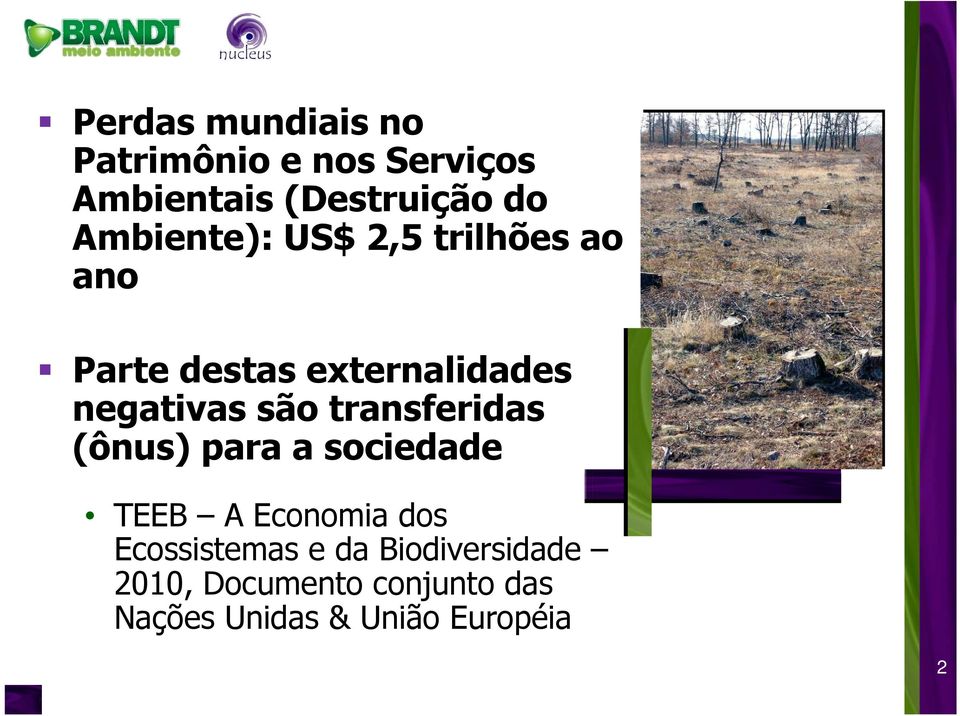 são transferidas (ônus) para a sociedade TEEB A Economia dos Ecossistemas