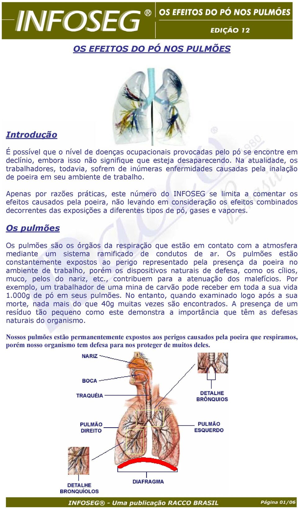 Apenas por razões práticas, este número do INFOSEG se limita a comentar os efeitos causados pela poeira, não levando em consideração os efeitos combinados decorrentes das exposições a diferentes