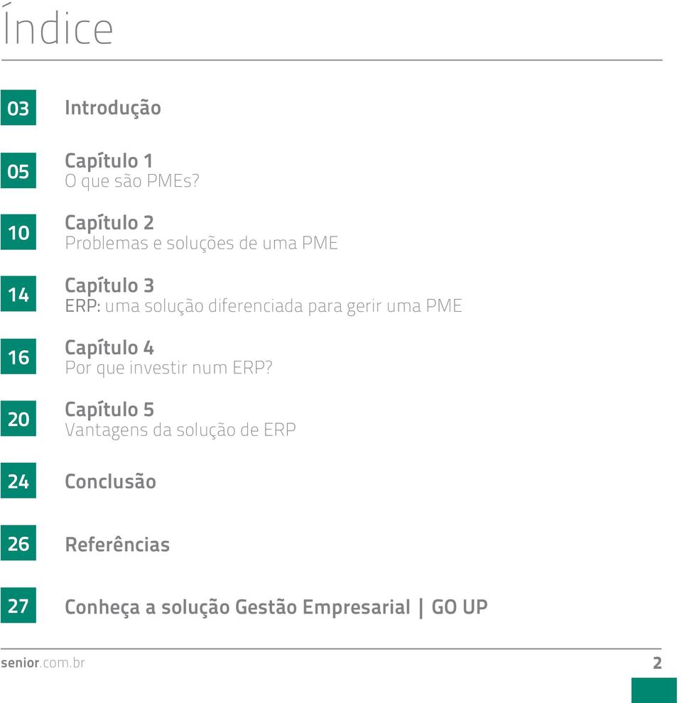 diferenciada para gerir uma PME Capítulo 4 Por que investir num ERP?