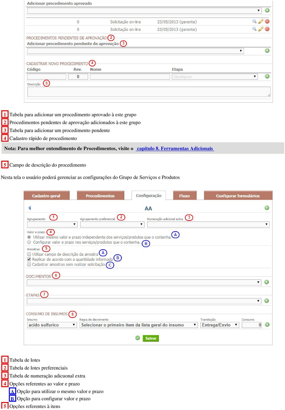 Ferramentas Adicionais 5 Campo de descrição do procedimento Nesta tela o usuário poderá gerenciar as configurações do Grupo de Serviços e Produtos 1 Tabela de lotes