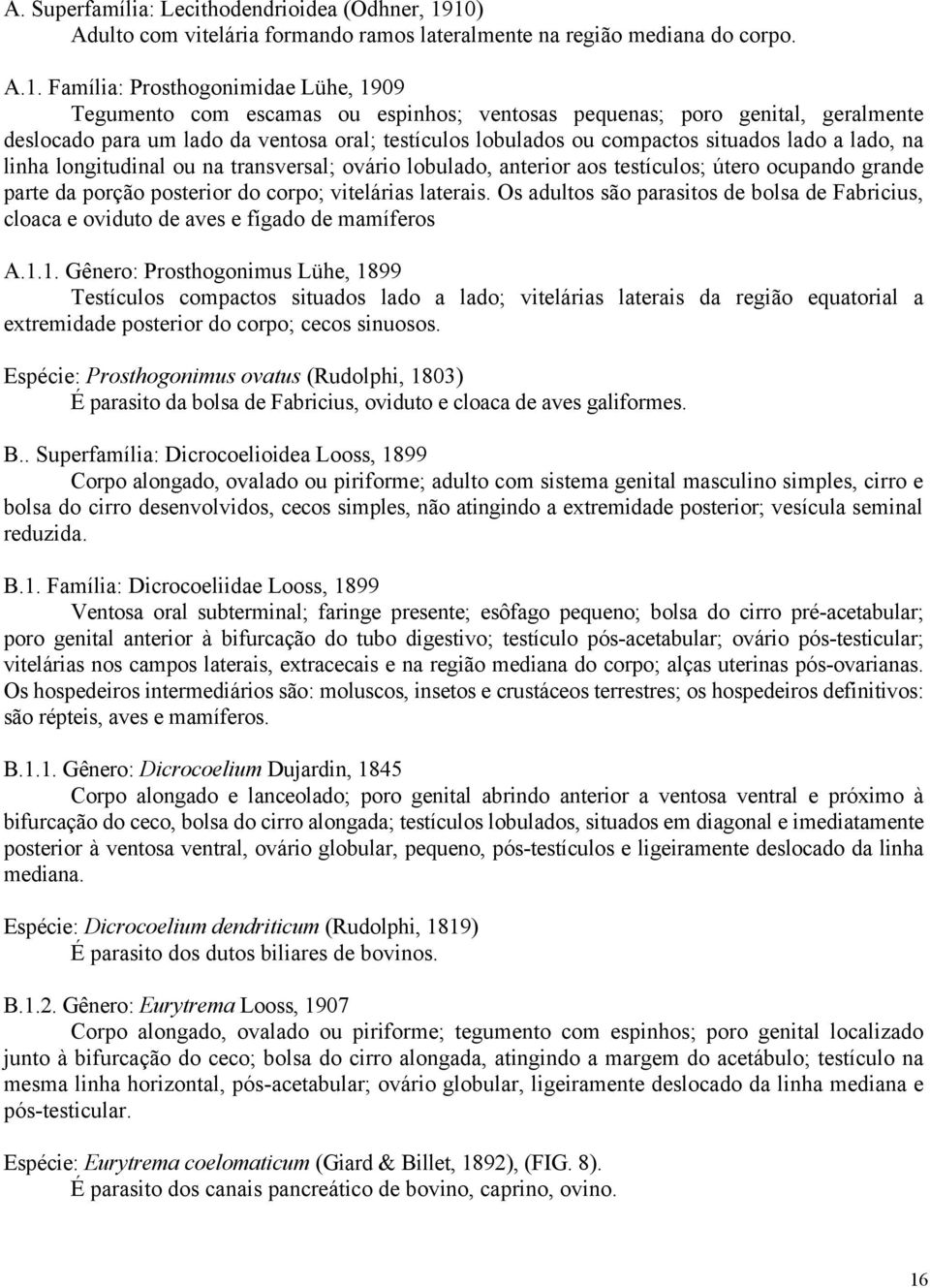 geralmente deslocado para um lado da ventosa oral; testículos lobulados ou compactos situados lado a lado, na linha longitudinal ou na transversal; ovário lobulado, anterior aos testículos; útero