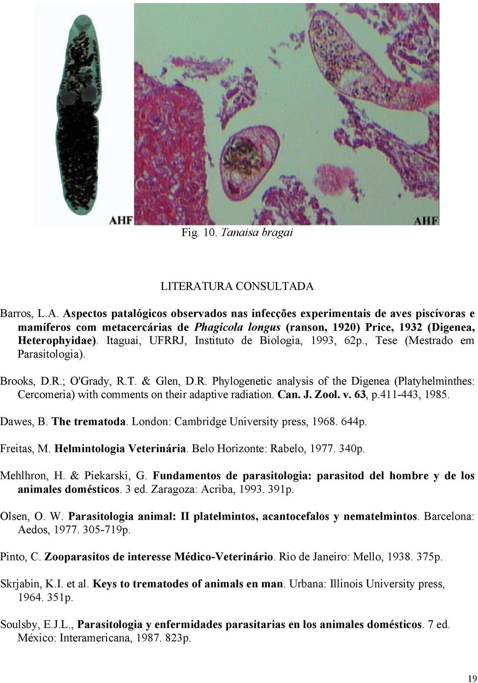 Itaguaí, UFRRJ, Instituto de Biologia, 1993, 62p., Tese (Mestrado em Parasitologia). Brooks, D.R.; O'Grady, R.T. & Glen, D.R. Phylogenetic analysis of the Digenea (Platyhelminthes: Cercomeria) with comments on their adaptive radiation.