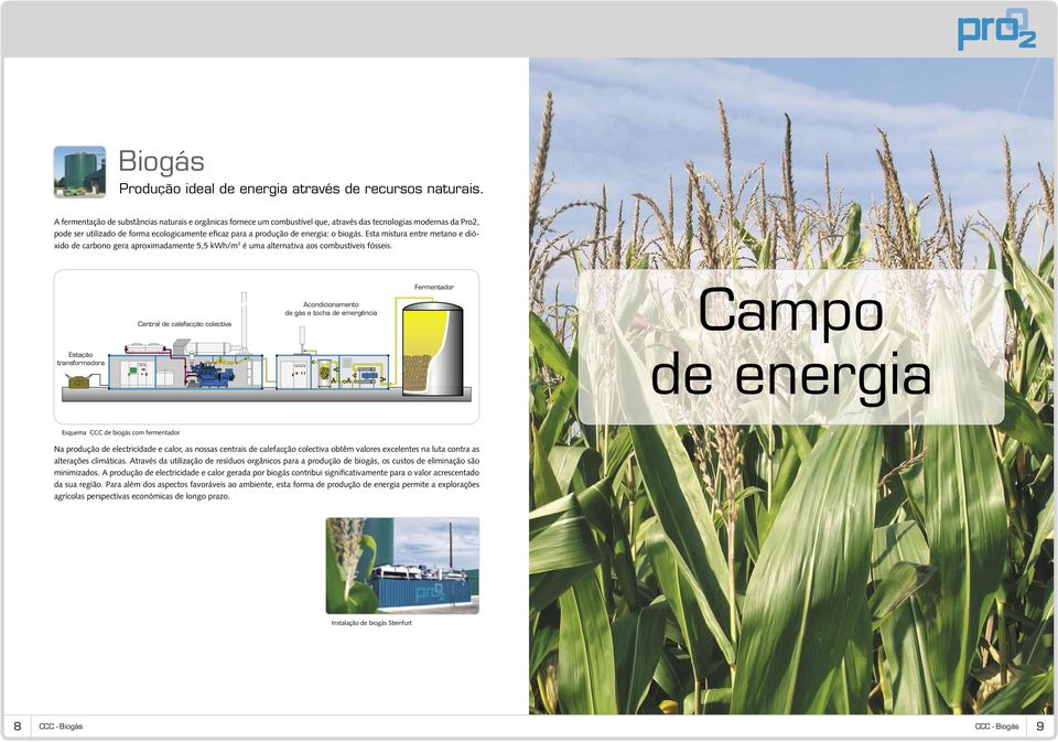 biogás. Esta mistura entre metano e dióxido de carbono gera aproximadamente 5,5 kwh/m 3 é uma alternativa aos combustíveis fósseis.