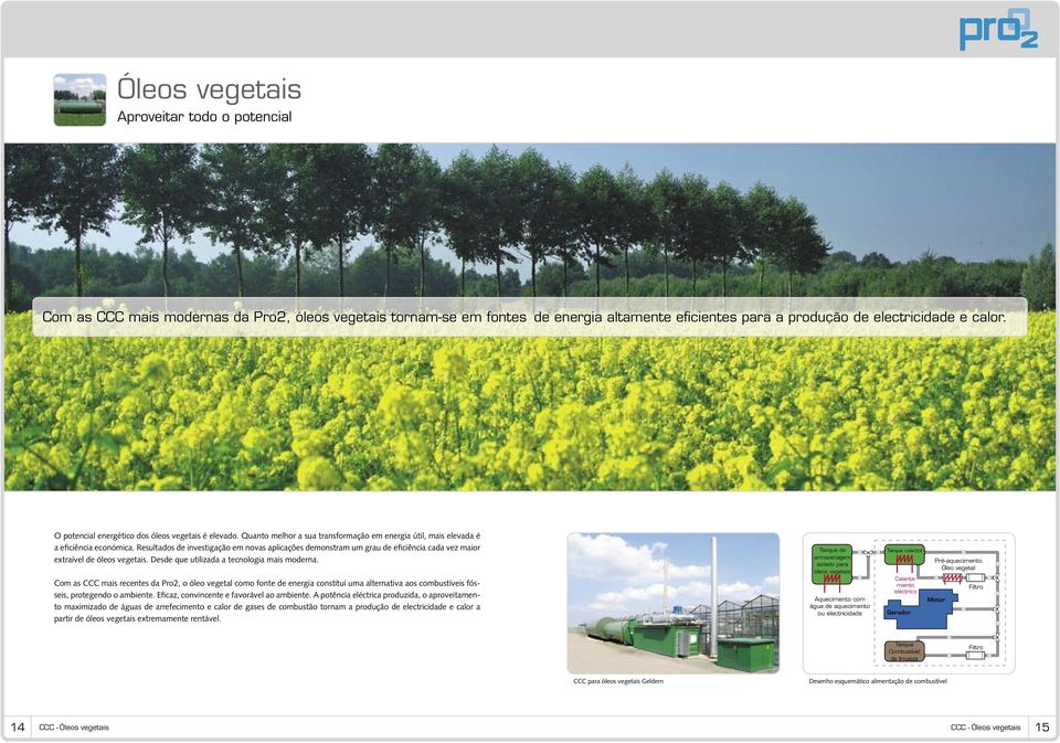 Resultados de investigação em novas aplicações demonstram um grau de eficiência cada vez maior extraível de óleos vegetais. Desde que utilizada a tecnologia mais moderna.