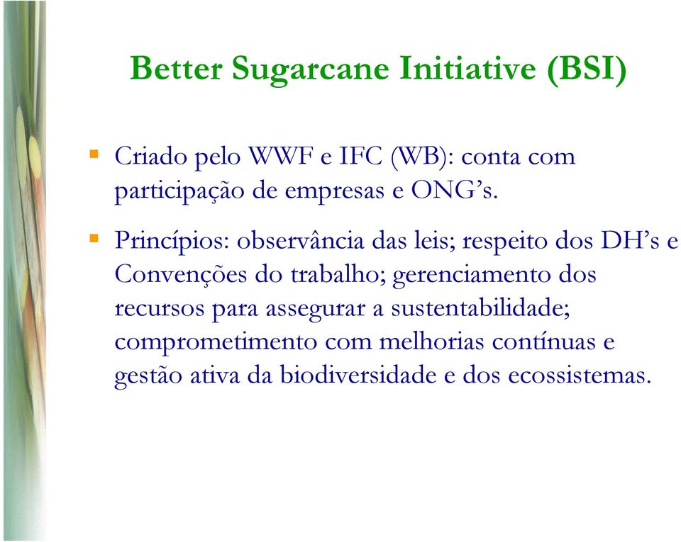 Princípios: observância das leis; respeito dos DH s e Convenções do trabalho;