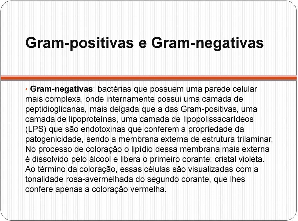 sendo a membrana externa de estrutura trilaminar.