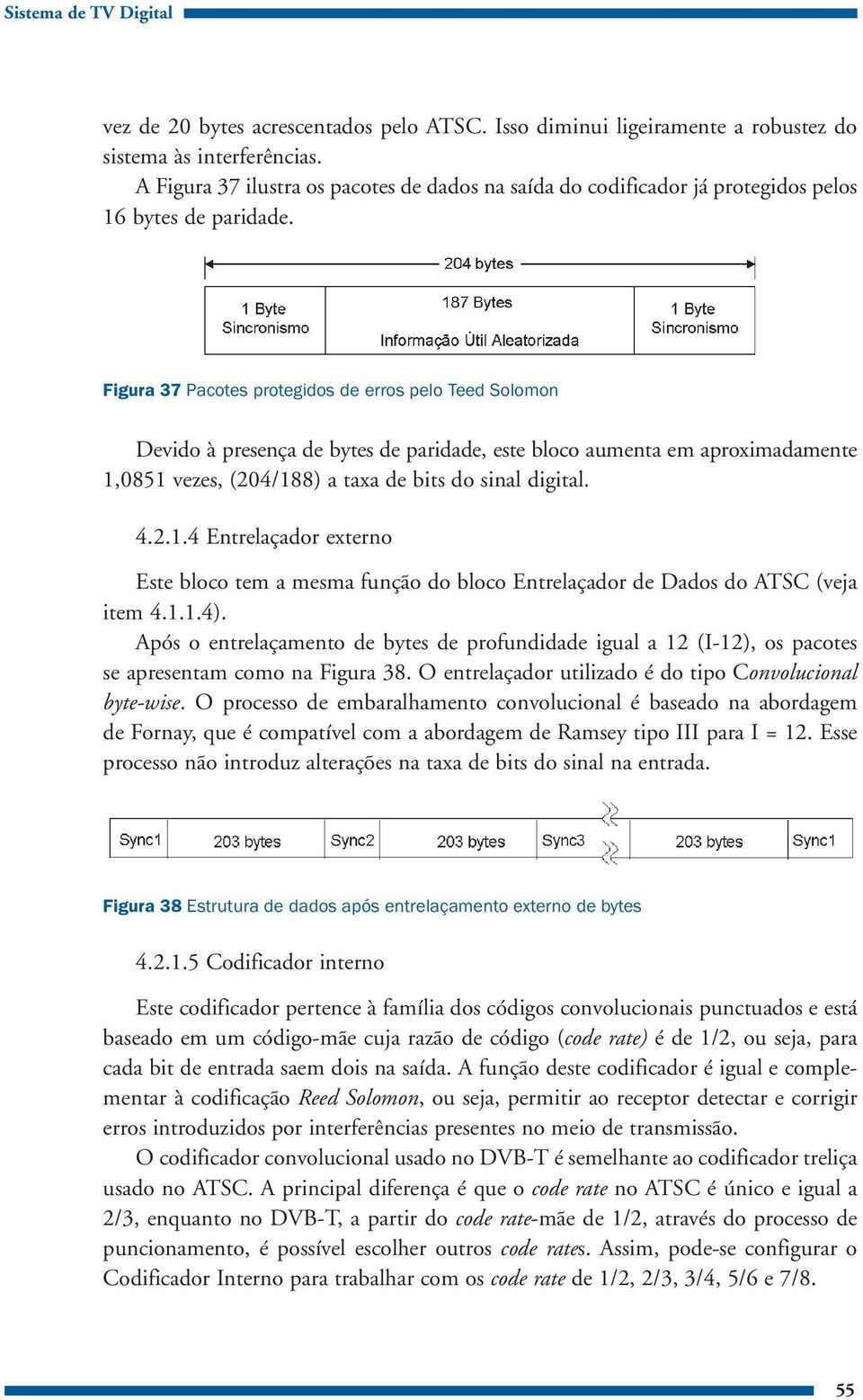 Figura 37 Pacotes protegidos de erros pelo Teed Solomon Devido à presença de bytes de paridade, este bloco aumenta em aproximadamente 1,