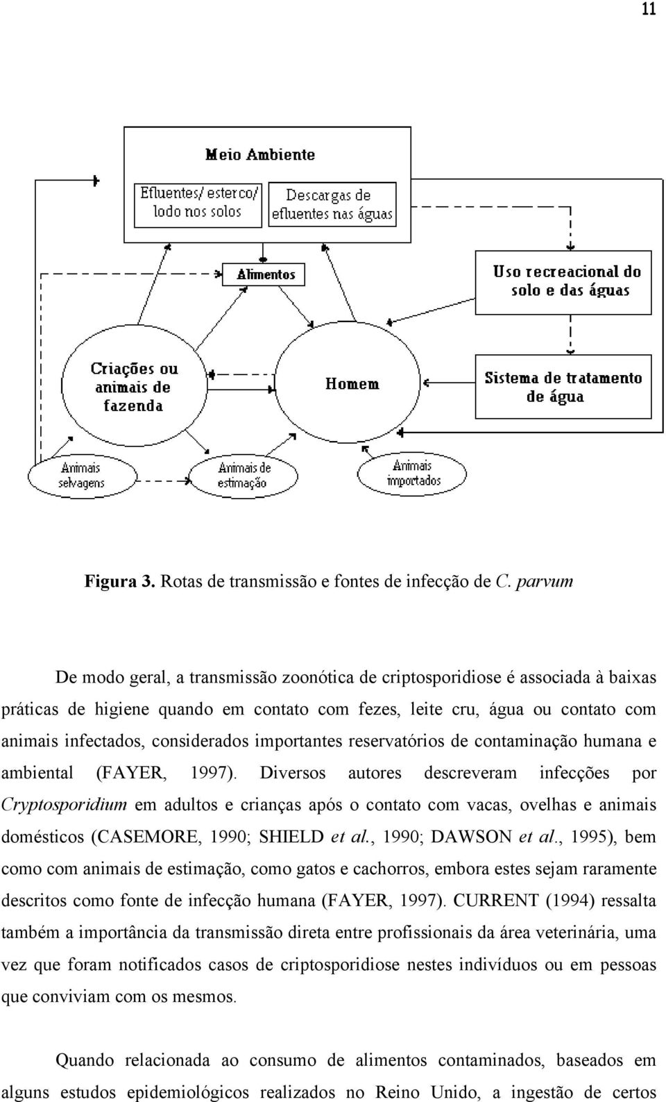 importantes reservatórios de contaminação humana e ambiental (FAYER, 1997).