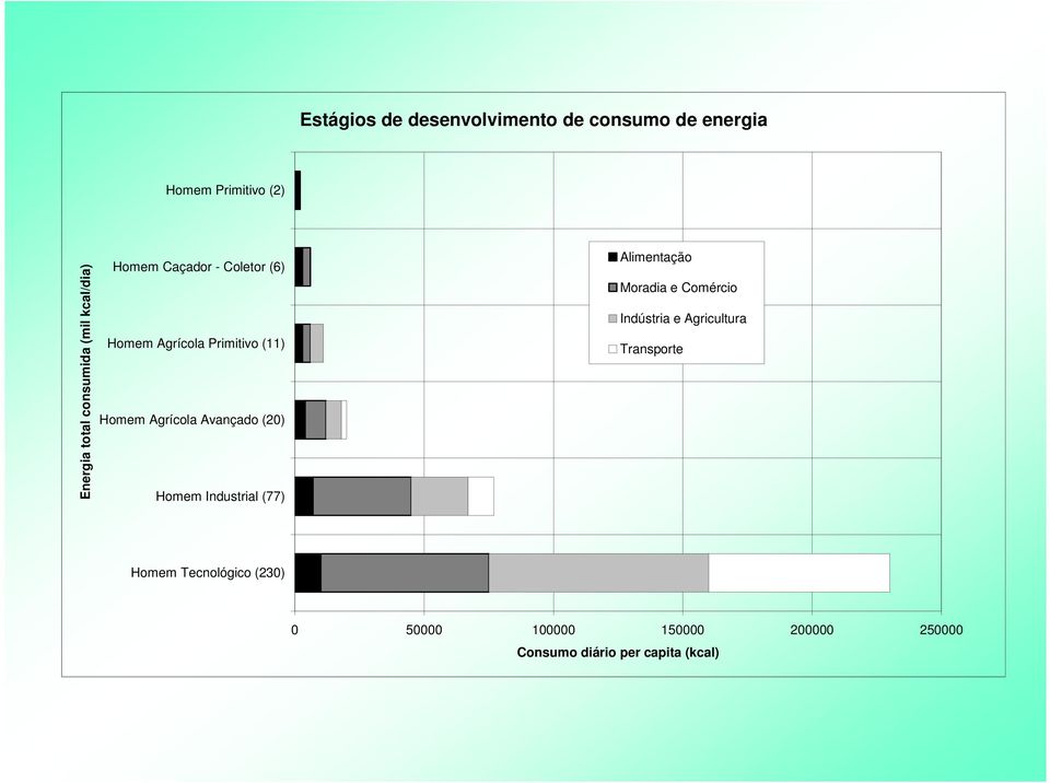 Avançado (20) Homem Industrial (77) Alimentação Moradia e Comércio Indústria e Agricultura