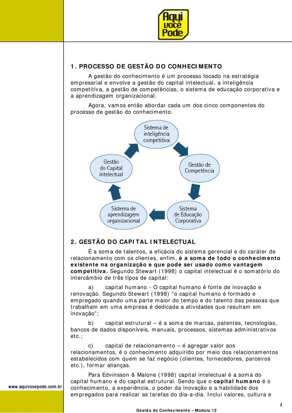 GESTÃO DO CAPITAL INTELECTUAL É a soma de talentos, a eficácia do sistema gerencial e do caráter de relacionamento com os clientes, enfim, é a soma de todo o conhecimento existente na organização e