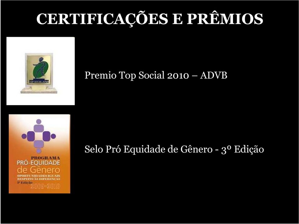 Social 2010 ADVB Selo