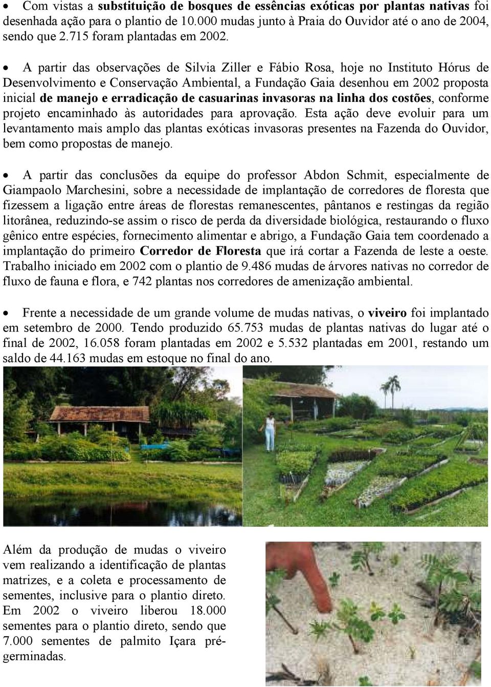 A partir das observações de Silvia Ziller e Fábio Rosa, hoje no Instituto Hórus de Desenvolvimento e Conservação Ambiental, a Fundação Gaia desenhou em 2002 proposta inicial de manejo e erradicação