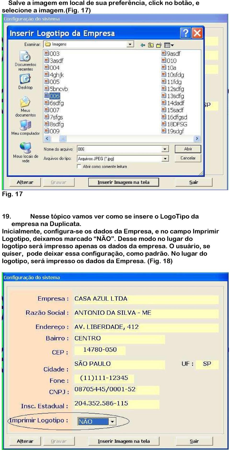 Inicialmente, configura-se os dados da Empresa, e no campo Imprimir Logotipo, deixamos marcado NÃO.